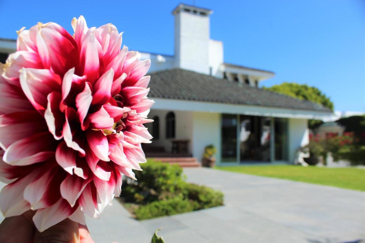 Santo Refugio Heritage Hotel San Pedro Cholula المظهر الخارجي الصورة