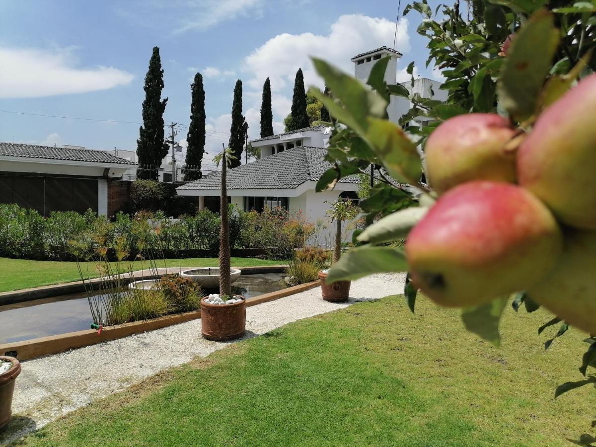 Santo Refugio Heritage Hotel San Pedro Cholula المظهر الخارجي الصورة
