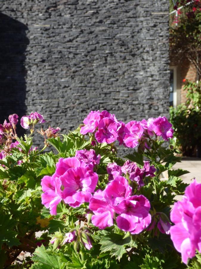 Santo Refugio Heritage Hotel San Pedro Cholula المظهر الخارجي الصورة